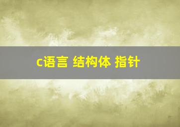 c语言 结构体 指针